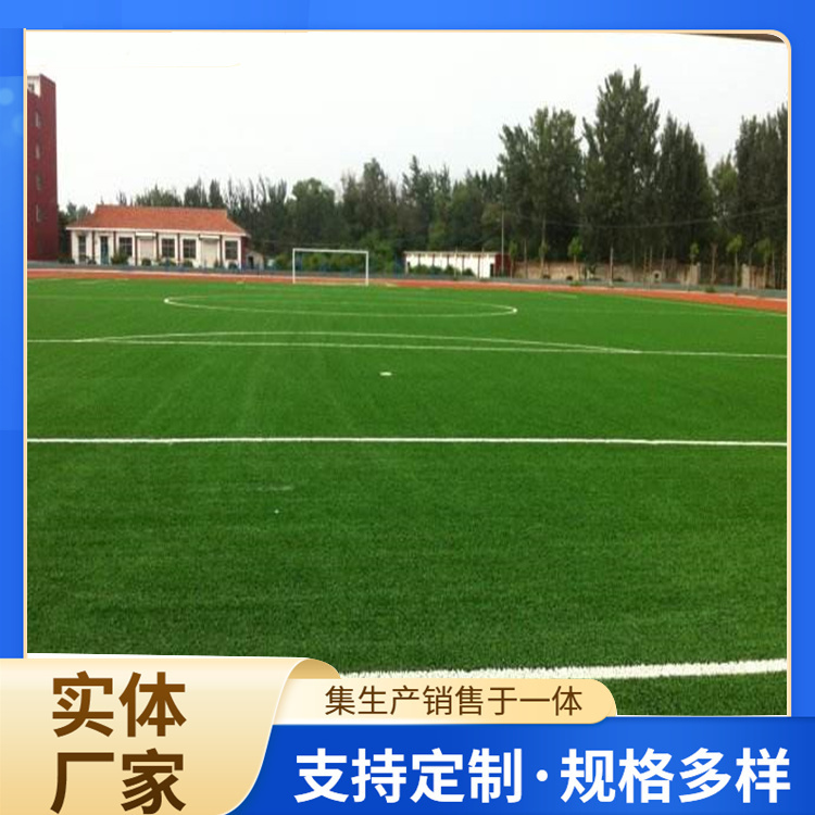济源市EPDM颗粒人造草坪 - 方案